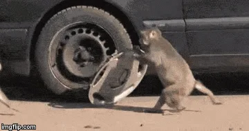 Stolen instructions